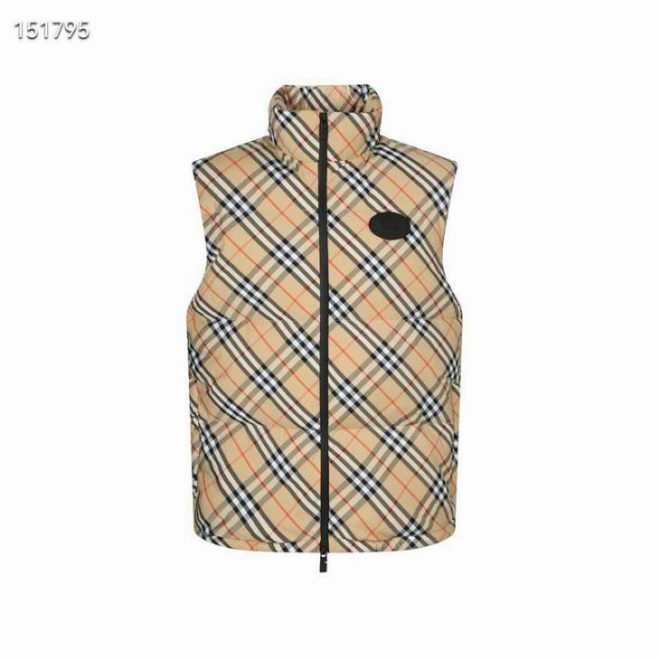 Picture of Burberry Down Jackets _SKUBurberryS-2XL26yr13637985